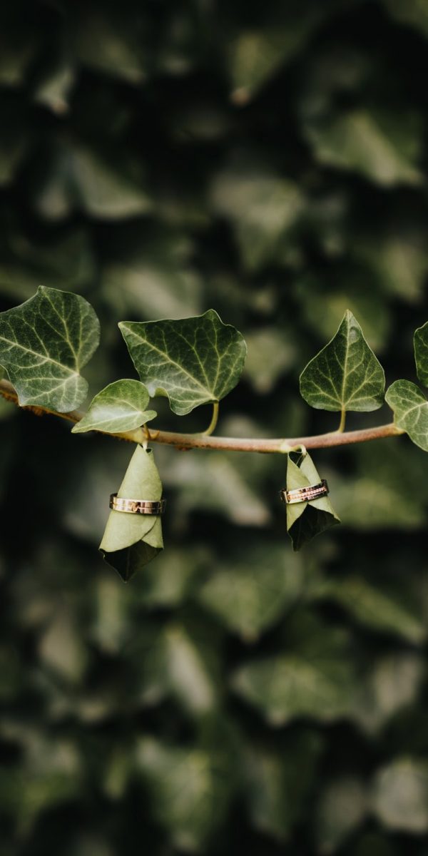 kreativ-eskuvoi-fotozas-0147